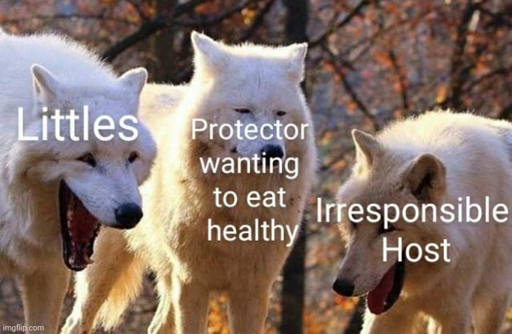 Callan, Nemo, and Xave :( (-Magnolia) | made w/ Imgflip meme maker