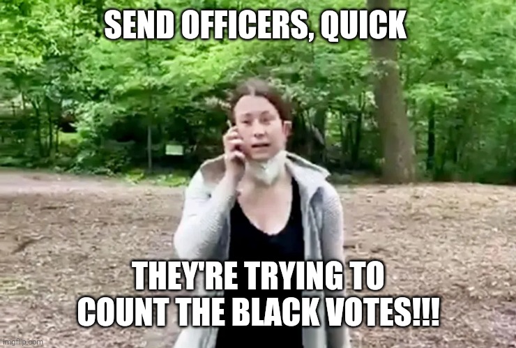 Meanwhile in Arizona | SEND OFFICERS, QUICK; THEY'RE TRYING TO COUNT THE BLACK VOTES!!! | image tagged in scumbag republicans,conservatives,maga,voting,racism | made w/ Imgflip meme maker