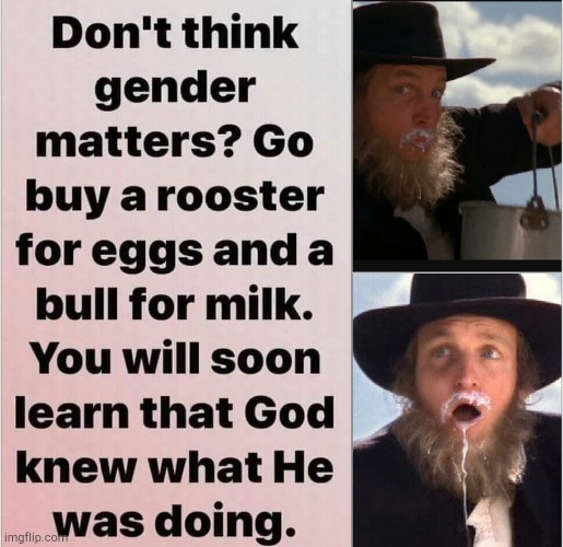 Gender | image tagged in kingpin,gender identity,transgender,god | made w/ Imgflip meme maker