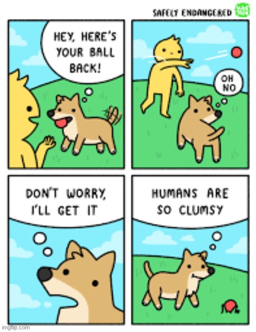 the dogs perspective | image tagged in comics/cartoons,dog,fetch | made w/ Imgflip meme maker