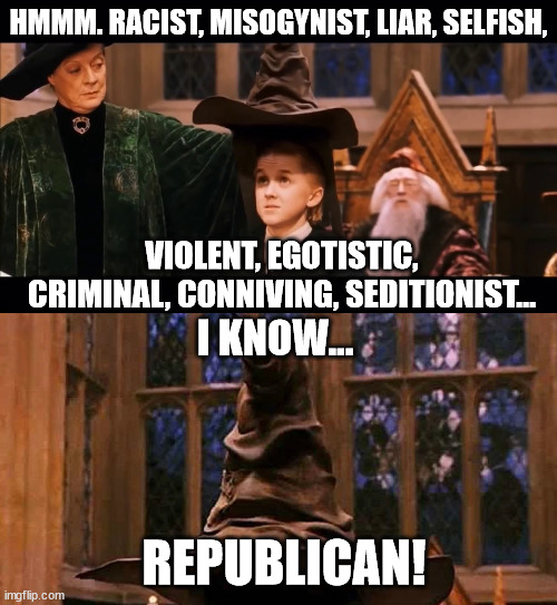 The sorting hat knows all. | HMMM. RACIST, MISOGYNIST, LIAR, SELFISH, VIOLENT, EGOTISTIC, CRIMINAL, CONNIVING, SEDITIONIST... I KNOW... REPUBLICAN! | image tagged in gop garbage,gullible magats | made w/ Imgflip meme maker