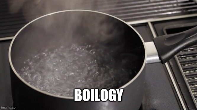 Boiling water | BOILOGY | image tagged in boiling water | made w/ Imgflip meme maker