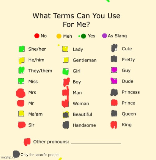 Pronouns Sheet | Only for specific people | image tagged in pronouns sheet | made w/ Imgflip meme maker