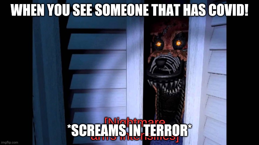 Bruh | WHEN YOU SEE SOMEONE THAT HAS COVID! *SCREAMS IN TERROR* | image tagged in nightmare foxy,covid | made w/ Imgflip meme maker