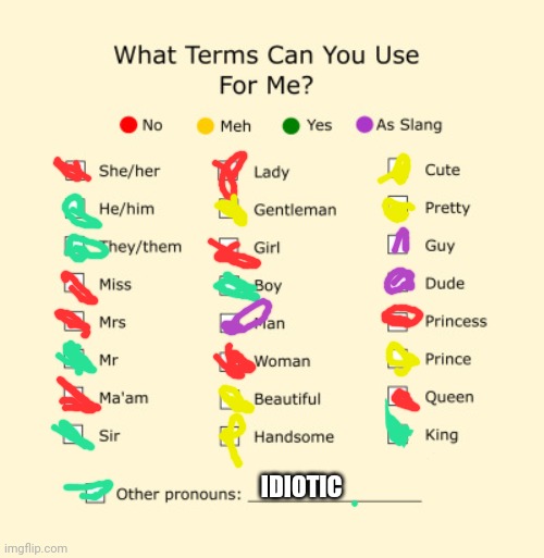 Pronouns Sheet | IDIOTIC | image tagged in pronouns sheet | made w/ Imgflip meme maker