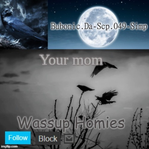 Ravens are cool (Thanks stickbug) | Your mom; Wassup Homies | image tagged in ravens are cool thanks stickbug | made w/ Imgflip meme maker