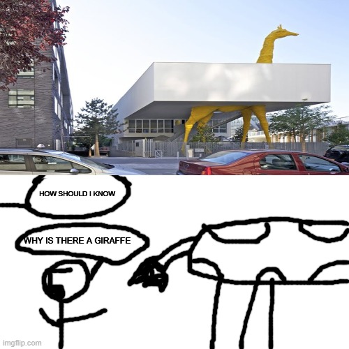 Its a Giraffe | HOW SHOULD I KNOW; WHY IS THERE A GIRAFFE | image tagged in giraffe | made w/ Imgflip meme maker