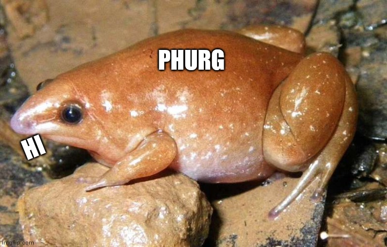 Phurg | PHURG; HI | image tagged in phurg | made w/ Imgflip meme maker