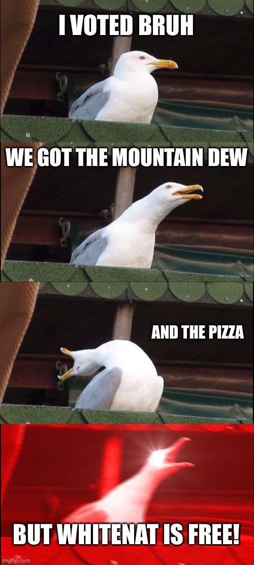 Vote RUP to prevent WN getting free, something most parties would be exposed for without bans. | I VOTED BRUH; WE GOT THE MOUNTAIN DEW; AND THE PIZZA; BUT WHITENAT IS FREE! | image tagged in memes,inhaling seagull | made w/ Imgflip meme maker