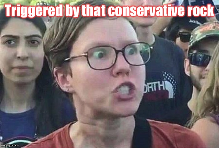 Triggered Liberal | Triggered by that conservative rock | image tagged in triggered liberal | made w/ Imgflip meme maker