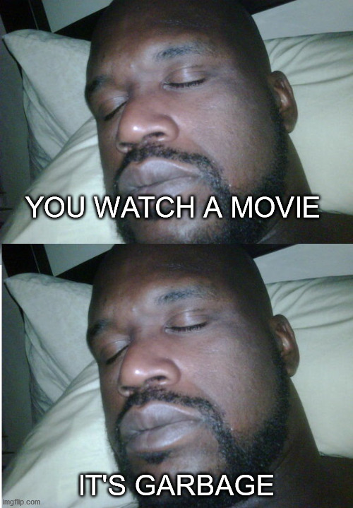 2018 in a nutshell | YOU WATCH A MOVIE; IT'S GARBAGE | image tagged in sleeping shaq | made w/ Imgflip meme maker