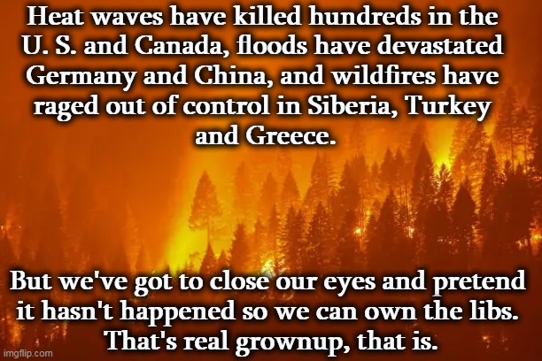 That's a great ambition. Say dumb stuff so other people will think you're dumb. There is a downside to that. | Heat waves have killed hundreds in the 

U. S. and Canada, floods have devastated 
Germany and China, and wildfires have 
raged out of control in Siberia, Turkey 
and Greece. But we've got to close our eyes and pretend 
it hasn't happened so we can own the libs. 
That's real grownup, that is. | image tagged in global warming,climate change,skeptical,stupid | made w/ Imgflip meme maker