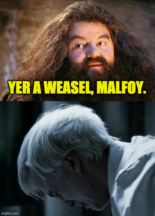 YER A WEASEL, MALFOY. | made w/ Imgflip meme maker