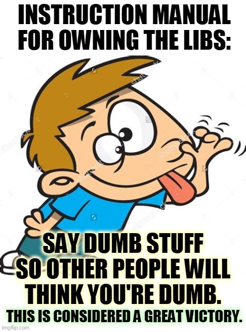 INSTRUCTION MANUAL FOR OWNING THE LIBS:; SAY DUMB STUFF SO OTHER PEOPLE WILL THINK YOU'RE DUMB. THIS IS CONSIDERED A GREAT VICTORY. | image tagged in dumb,conservatives,dumb and dumber | made w/ Imgflip meme maker
