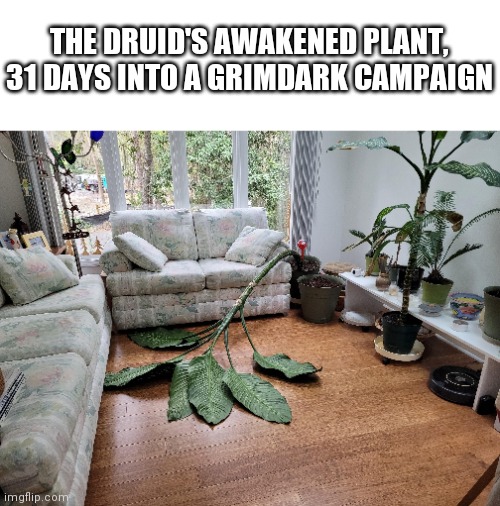 THE DRUID'S AWAKENED PLANT, 31 DAYS INTO A GRIMDARK CAMPAIGN | made w/ Imgflip meme maker