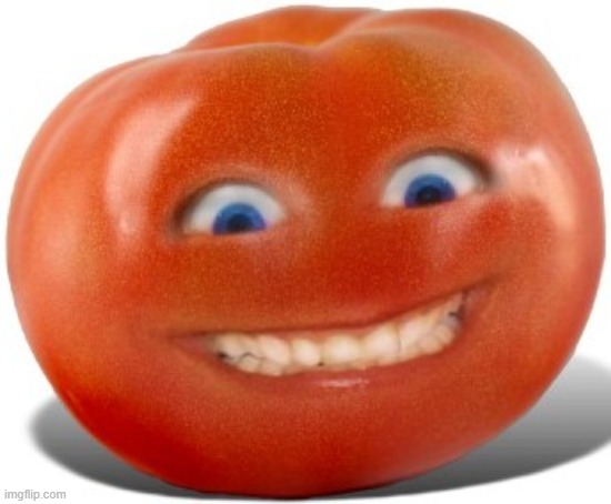Tomato | image tagged in tomato | made w/ Imgflip meme maker