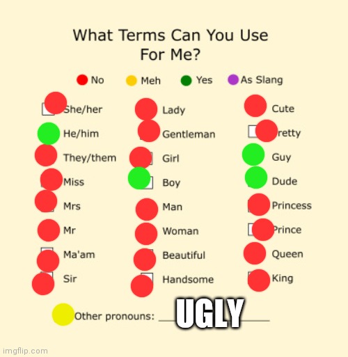 Pronouns Sheet | UGLY | image tagged in pronouns sheet | made w/ Imgflip meme maker