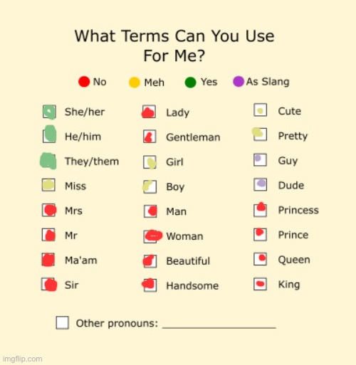 y a y | image tagged in pronouns sheet | made w/ Imgflip meme maker
