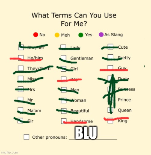 Pronouns Sheet | BLU | image tagged in pronouns sheet | made w/ Imgflip meme maker