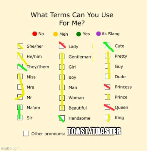 Pronouns Sheet | TOAST/TOASTER | image tagged in pronouns sheet | made w/ Imgflip meme maker