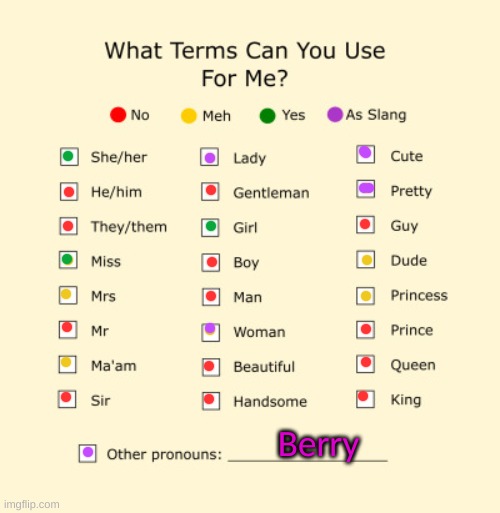Pronouns Sheet | Berry | image tagged in pronouns sheet | made w/ Imgflip meme maker