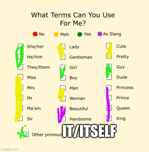 Seems like a trend so | IT/ITSELF | image tagged in pronouns sheet | made w/ Imgflip meme maker
