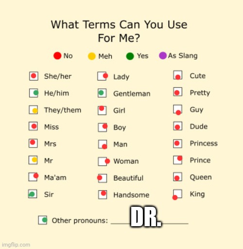 Pronouns Sheet | DR. | image tagged in pronouns sheet | made w/ Imgflip meme maker