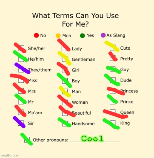 Yoshi's Pronoun Sheet | Cool | image tagged in pronouns sheet | made w/ Imgflip meme maker
