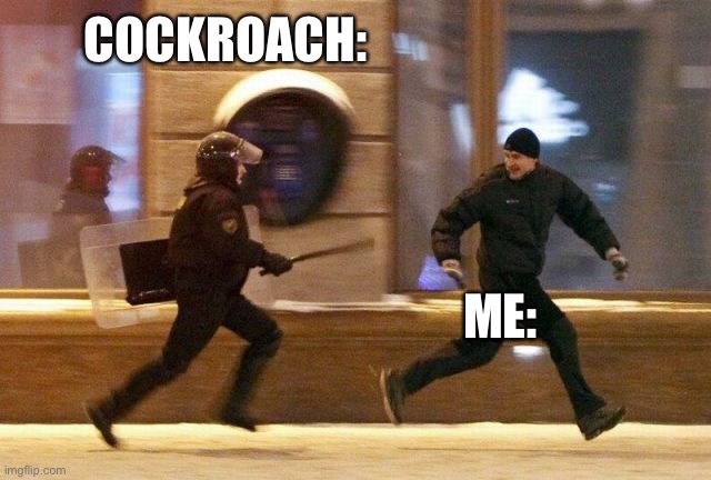 Police Chasing Guy | COCKROACH: ME: | image tagged in police chasing guy | made w/ Imgflip meme maker
