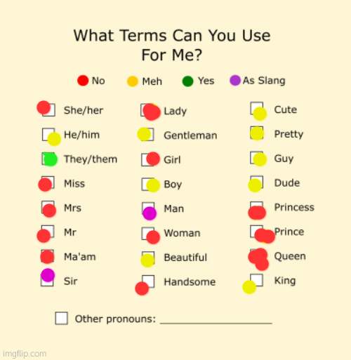 reee | image tagged in pronouns sheet | made w/ Imgflip meme maker