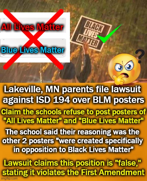 They are in Opposition, Just as Unity is to Division or Good is to Evil | All Lives Matter; Blue Lives Matter; Lakeville, MN parents file lawsuit 
against ISD 194 over BLM posters; Claim the schools refuse to post posters of
"All Lives Matter" and "Blue Lives Matter"; The school said their reasoning was the 
other 2 posters "were created specifically 
in opposition to Black Lives Matter"; Lawsuit claims this position is "false," 

stating it violates the First Amendment | image tagged in politics,blm,all lives matter,blue lives matter,common sense,good vs evil | made w/ Imgflip meme maker