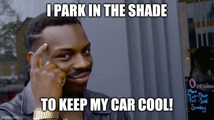 Roll Safe Think About It Meme | I PARK IN THE SHADE; TO KEEP MY CAR COOL! | image tagged in memes,roll safe think about it | made w/ Imgflip meme maker