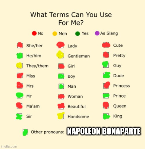 Pronouns Sheet | NAPOLEON BONAPARTE | image tagged in pronouns sheet | made w/ Imgflip meme maker