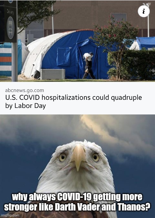 NNNOOOOOOOOOOOOOOOOOOO!!!!! | why always COVID-19 getting more stronger like Darth Vader and Thanos? | image tagged in sad american eagle,coronavirus,covid-19,labor day,memes | made w/ Imgflip meme maker