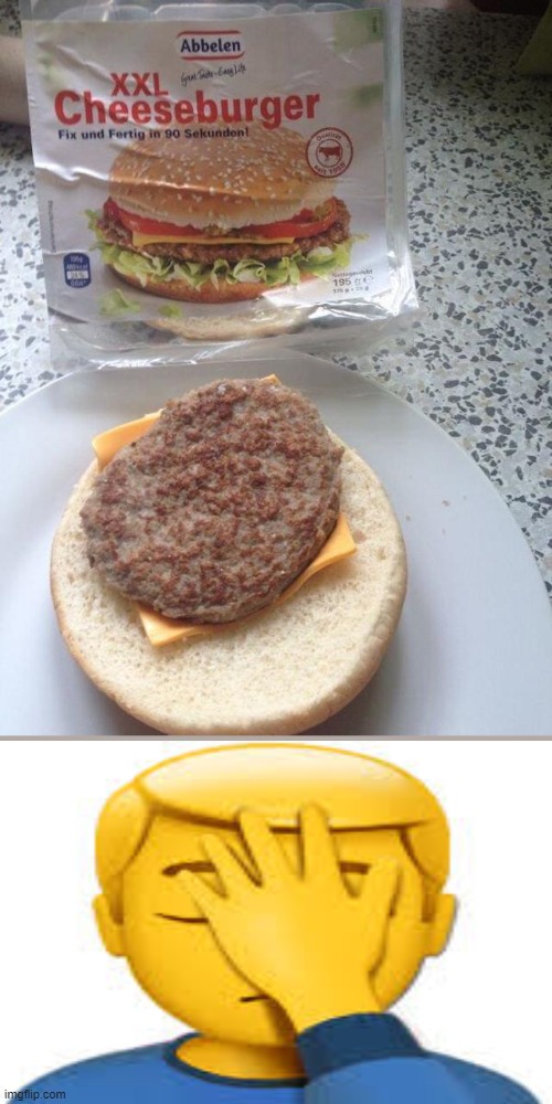 Worst hamburger. | image tagged in worst,hamburger,fail | made w/ Imgflip meme maker