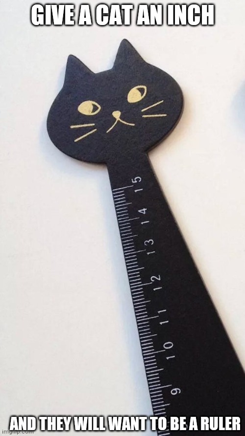 cat ruler | GIVE A CAT AN INCH; AND THEY WILL WANT TO BE A RULER | image tagged in cat,ruler | made w/ Imgflip meme maker