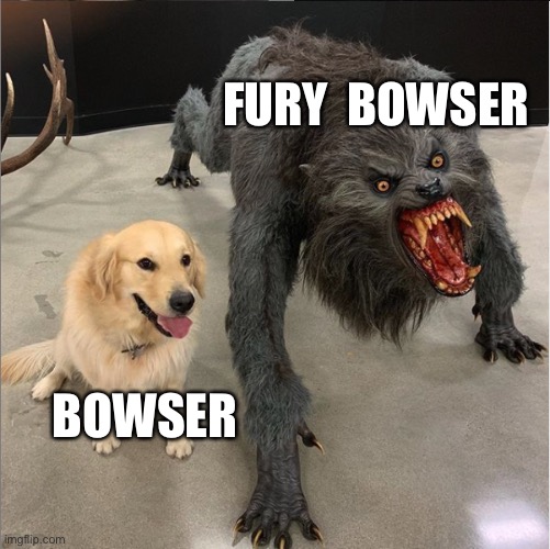 Bowser is a bad guy but a really good father tbh 2 | FURY  BOWSER; BOWSER | image tagged in dog vs werewolf | made w/ Imgflip meme maker