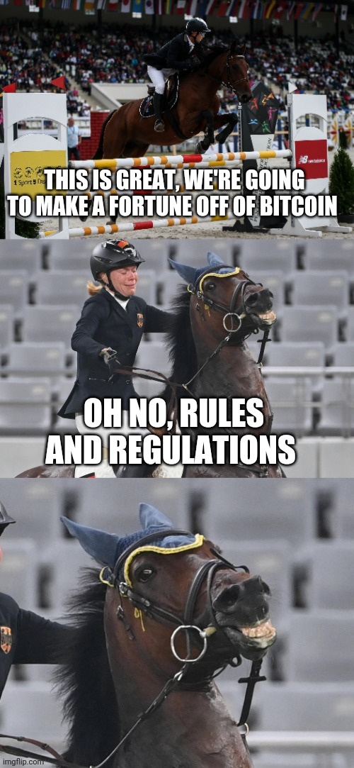 THIS IS GREAT, WE'RE GOING TO MAKE A FORTUNE OFF OF BITCOIN; OH NO, RULES AND REGULATIONS | image tagged in funny memes | made w/ Imgflip meme maker