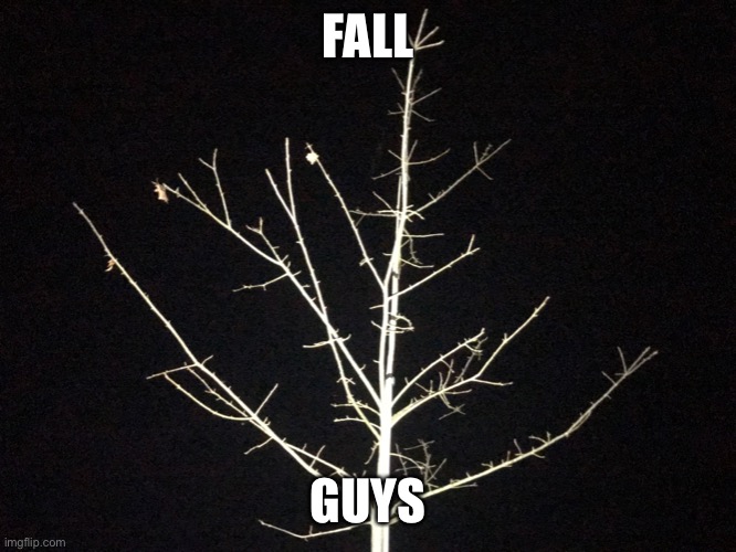 Fall guys (date: unknown) | FALL; GUYS | image tagged in fall guys,fall,memes,shitpost | made w/ Imgflip meme maker