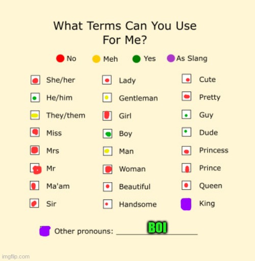 I am a straight up f**king BOIIIIIIIIIII | BOI | image tagged in pronouns sheet | made w/ Imgflip meme maker