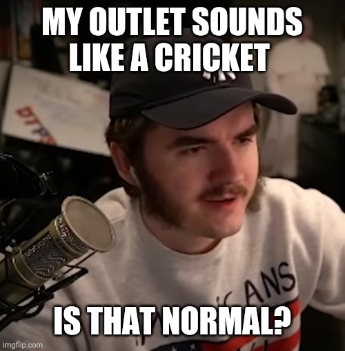 MY OUTLET SOUNDS LIKE A CRICKET; IS THAT NORMAL? | image tagged in j | made w/ Imgflip meme maker