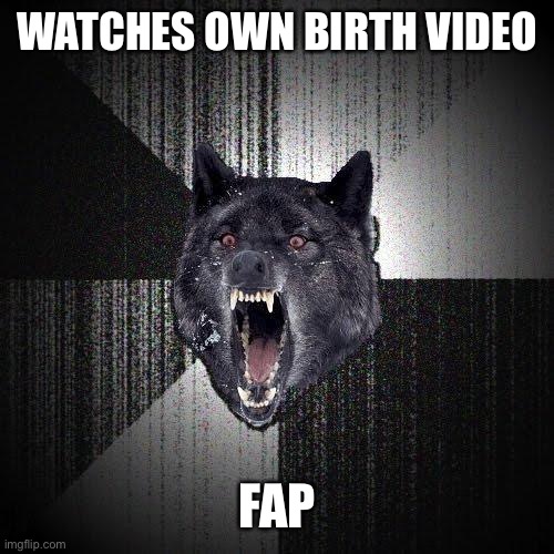Insanity Wolf Meme | WATCHES OWN BIRTH VIDEO FAP | image tagged in memes,insanity wolf | made w/ Imgflip meme maker