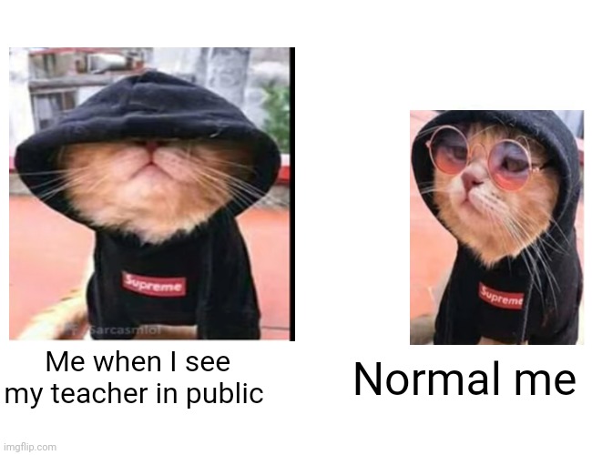 True story | Me when I see my teacher in public; Normal me | image tagged in memes,buff doge vs cheems | made w/ Imgflip meme maker