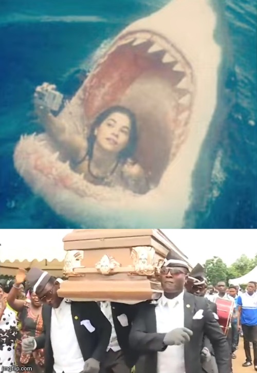 Never take selfies with sharks | image tagged in coffin dance | made w/ Imgflip meme maker