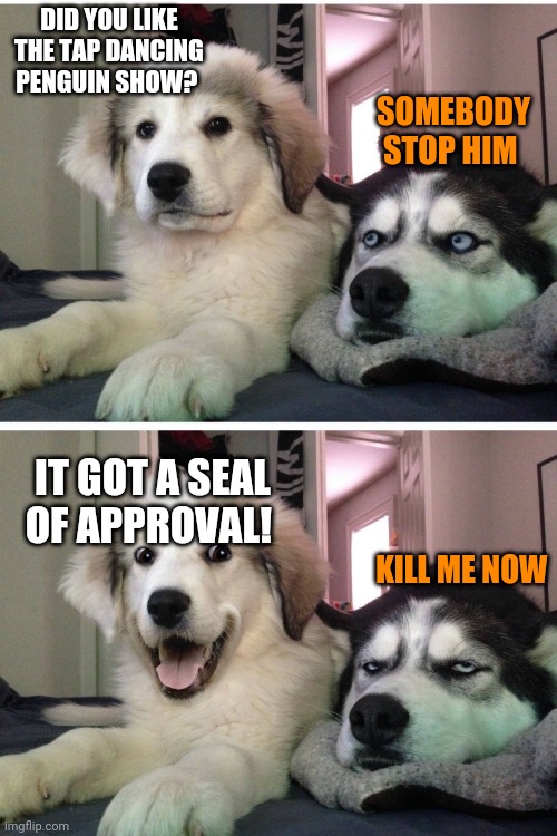 Bad pun dogs |  DID YOU LIKE THE TAP DANCING PENGUIN SHOW? SOMEBODY STOP HIM; IT GOT A SEAL OF APPROVAL! KILL ME NOW | image tagged in bad pun dogs | made w/ Imgflip meme maker