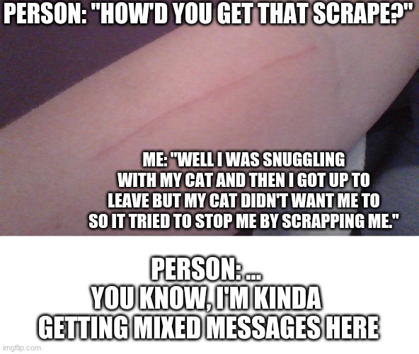 PERSON: "HOW'D YOU GET THAT SCRAPE?"; ME: "WELL I WAS SNUGGLING WITH MY CAT AND THEN I GOT UP TO LEAVE BUT MY CAT DIDN'T WANT ME TO SO IT TRIED TO STOP ME BY SCRAPPING ME."; PERSON: ...
YOU KNOW, I'M KINDA
 GETTING MIXED MESSAGES HERE | image tagged in cat,injury | made w/ Imgflip meme maker