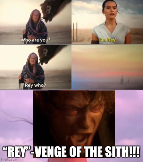 LOL | “REY”-VENGE OF THE SITH!!! | image tagged in rey who | made w/ Imgflip meme maker