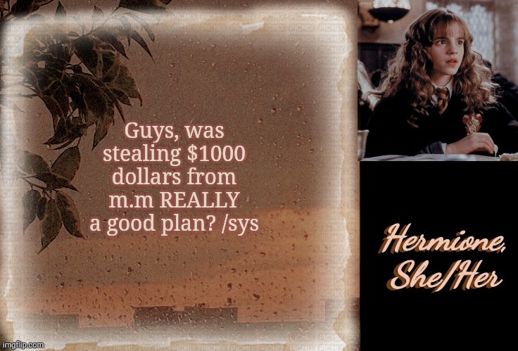 Hermione | Guys, was stealing $1000 dollars from m.m REALLY a good plan? /sys | image tagged in hermione | made w/ Imgflip meme maker