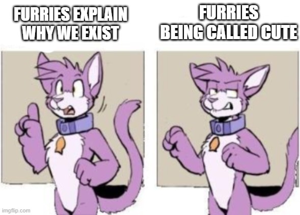 Furry hold on | FURRIES BEING CALLED CUTE; FURRIES EXPLAIN WHY WE EXIST | image tagged in furry hold on | made w/ Imgflip meme maker