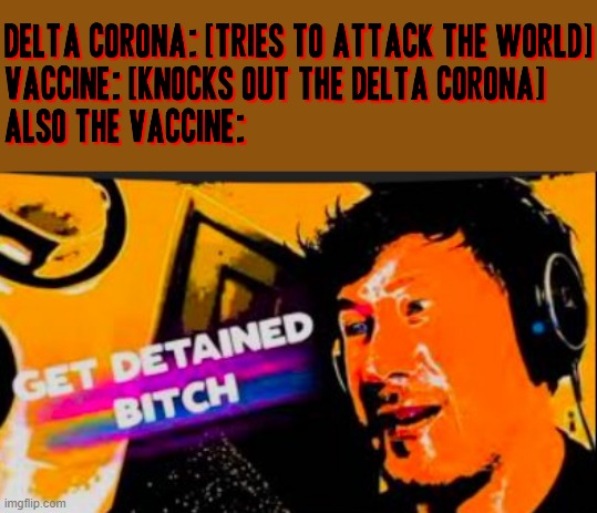 Not exactly a perfect summation but I mean it'll kind of do; welp guess that pretty much sums it up for you delta corona | image tagged in get detained bitch,memes,dank memes,coronavirus meme,vaccination,got eeem | made w/ Imgflip meme maker